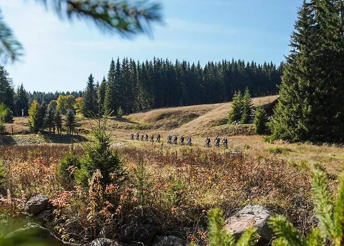 Diamant Klinovec Apartment *